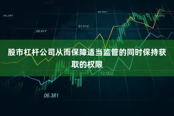 股市杠杆公司从而保障适当监管的同时保持获取的权限